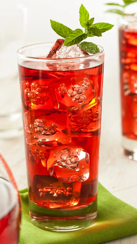 Infusión fría digestiva y antioxidante: hidrátate con salud 3 infusió freda digestiva i antioxidant