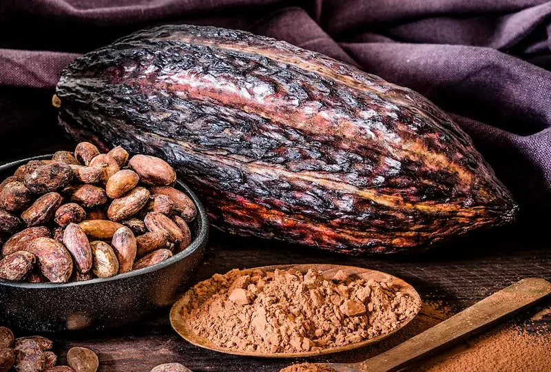 Cacau: molt més que xocolata, un aliat per a la salut integral