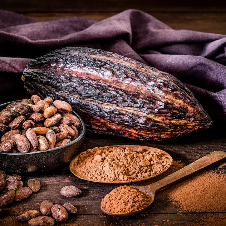 Cacau: molt més que xocolata, un aliat per a la salut integral