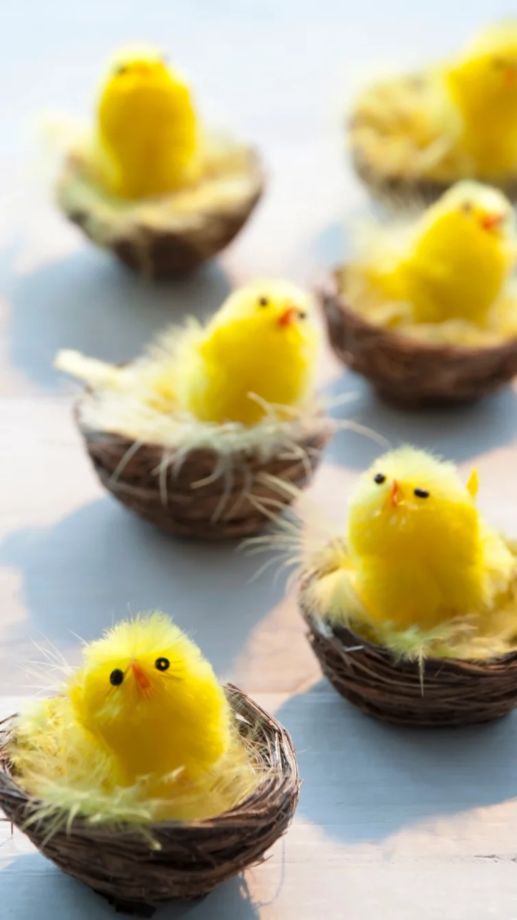 Cómo preparar una mona de Pascua saludable con chocolate negro
